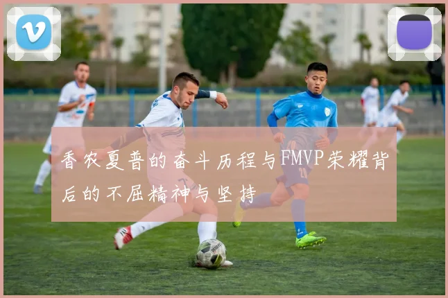 香农夏普的奋斗历程与FMVP荣耀背后的不屈精神与坚持