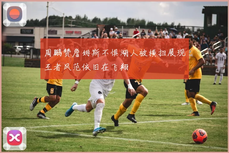 周鹏赞詹姆斯不惧湖人被横扫展现王者风范依旧在飞翔